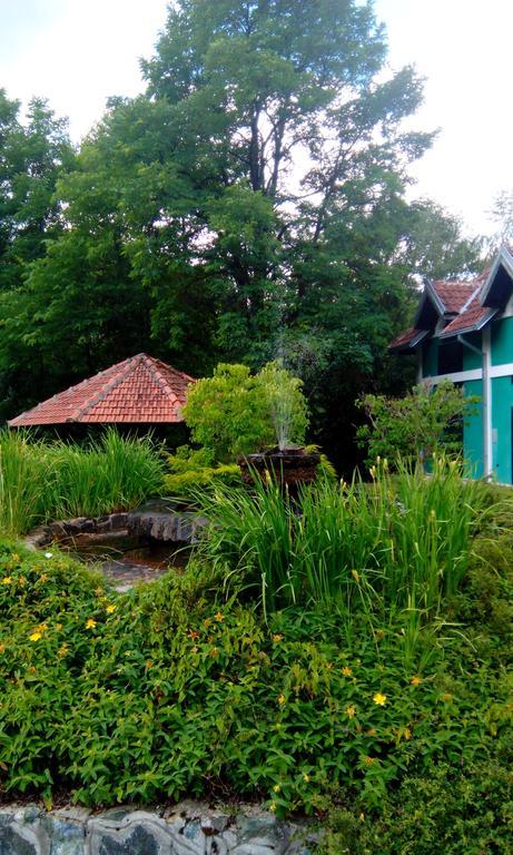 Vila Planinska Kuca Mokra Gora Exteriér fotografie